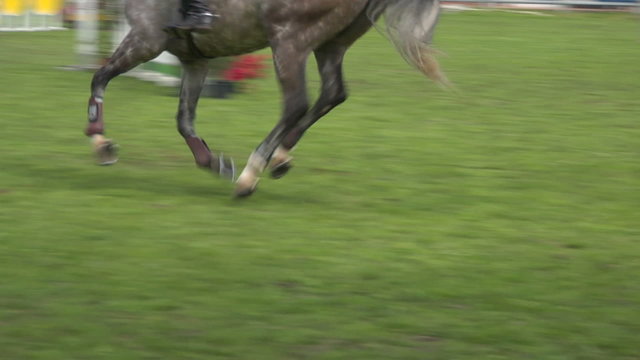horse race jump close up 02