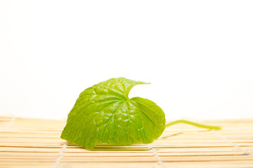 wasabi