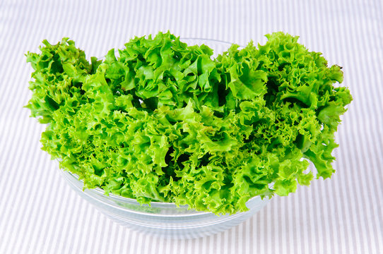 Fresh green Salad leaves