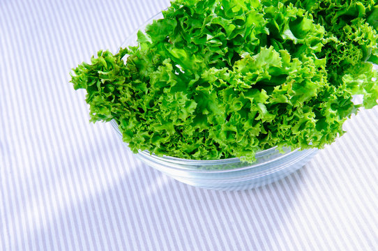 Fresh green Salad leaves