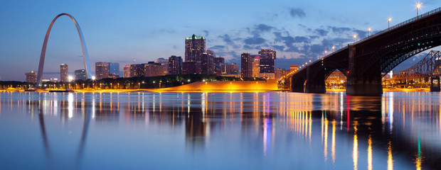 City of St. Louis skyline. - obrazy, fototapety, plakaty