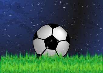Fototapeta premium Soccer ball