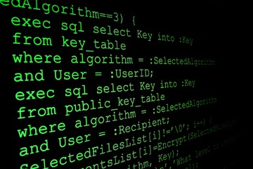 Program code on a monitor