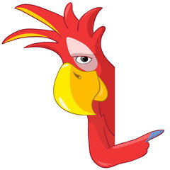 Funny Parrot
