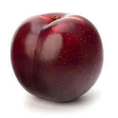 Red plum fruit