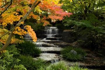 Fotobehang waterval in Japanse tuin © nonchai
