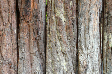 Obraz premium Closeup wooden bark fence wall background