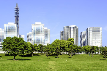 Obraz premium Yokohama City Park at panorama with skyline and skyscrapers