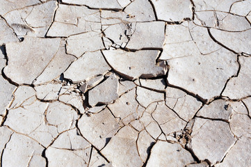 Dry Cracked Earth Texture - Drought
