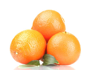 mineola fruits with leafs  isolated on white