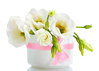 beautiful spring flowers in vase isolated on white