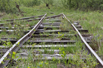 Stillgelegte Bahnstrecke in einem Hochmoor in Bayern