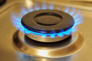 Stainless Steel Gas Burner