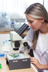 Fototapeta premium beauty scientist in chemical laboratory