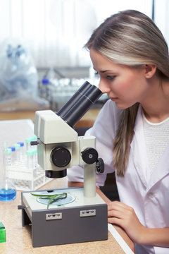 beauty scientist in chemical laboratory