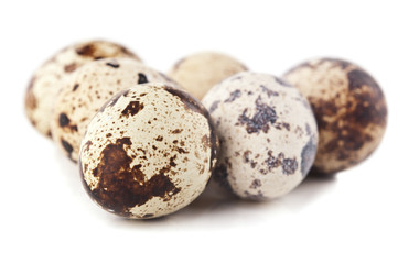 quail eggs isolated