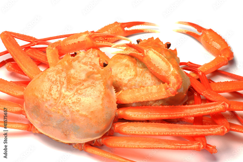 Sticker deep red snow crab