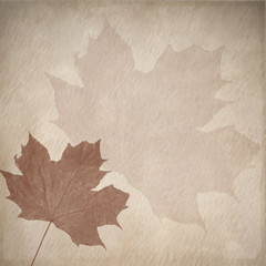Fototapeta premium autumnal retro design
