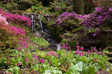 Obraz premium Bodnant gardens