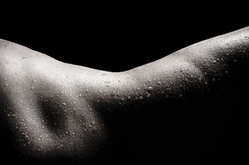 Female Bodyparts - Flanke