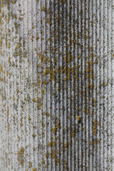 Vertical strips wall background with moss on it