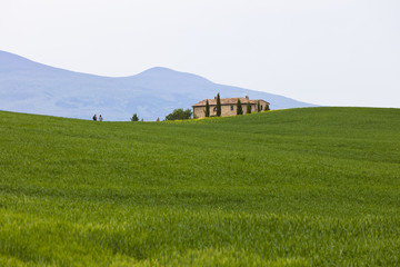Obraz premium Landschaft in der Toskana