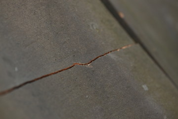 ziegel