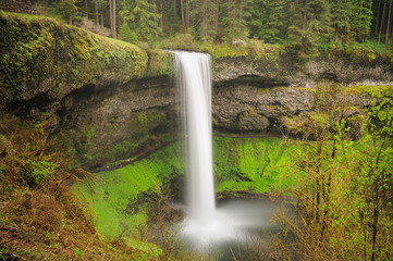 The Beautiful View Of Silver Falls