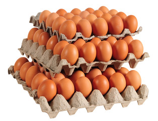 Egg packaging. Isolated