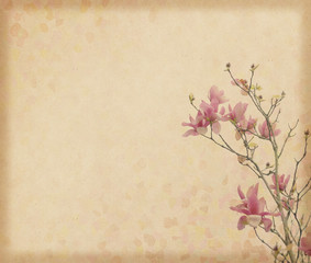 Fototapeta premium magnolia flower with Old antique vintage paper background