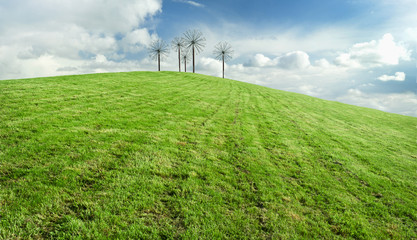 Fototapeta na wymiar Błękitne niebo i zielona łąka