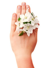 woman holding flower blossom