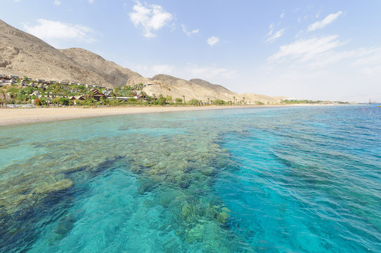 Diving in Egypt