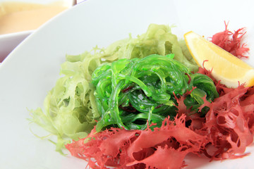 kaiso with nut sauce closeup