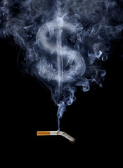 The Cost of Smoking