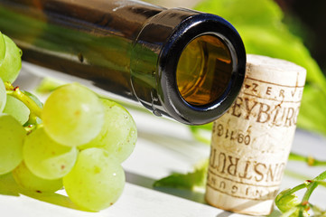 Wein
