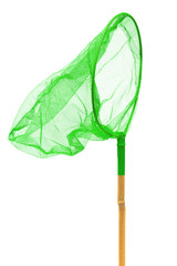 green butterfly net