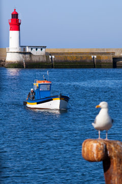 Bretagne-Le Guilvinec-France M