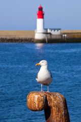 Bretagne-Le Guilvinec-France F