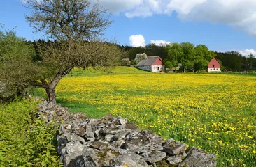 Schilderijen op glas Swedish village landscape in spring season © Piotr Wawrzyniuk