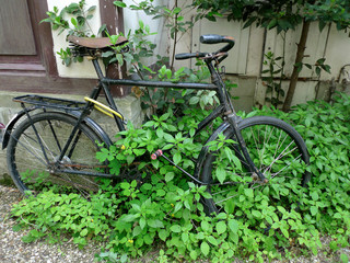 Fototapeta na wymiar bicyclette dans un jardin