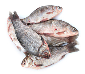 Fresh fishes isolated on white
