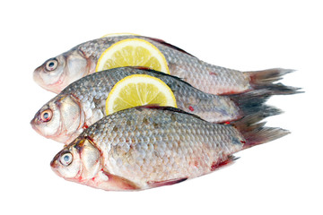 Fresh fishes with lemon isolated on white