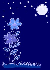 Fototapeta na wymiar Two flowers, night sky and stars