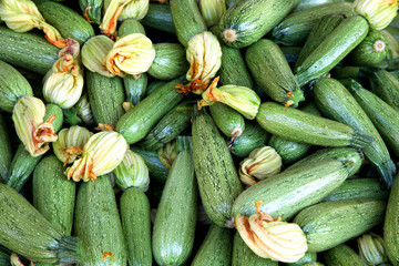 erntefrische Zucchini