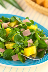 Fresh watercress, pineapple and ham salad on blue plate
