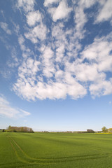 Field and clouds.