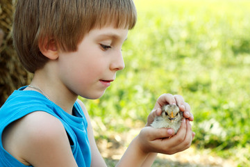 boy cute hugs chiken in hand nature summer outdoor