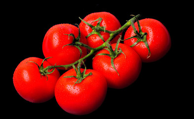 Fresh red tomatoes