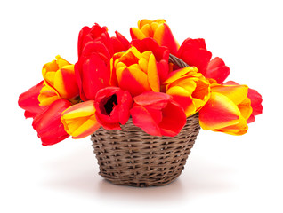 Fototapeta na wymiar tulips in basket on white background